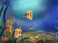 Screenshot of Animated Aquarium Screensaver 1.0