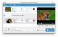 Screenshot of Tipard 4K Video Converter for Mac 9.1.32