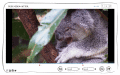 Screenshot of Gihosoft Free Video Cutter 1.2.1