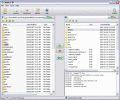 Screenshot of Classic FTP Plus File Transfer Software 2.38