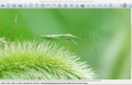 Screenshot of Easy Photo Studio FREE for Mac 3.0.6