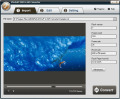 Screenshot of IPixSoft SWF to GIF Converter 4.8.0