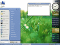Customize the look and feel of Windows XP.