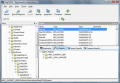 Screenshot of RegCOPA Registry Editor 3.01