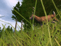 Screenshot of Hunting Unlimited 4 1.0