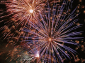 Screenshot of Free Holiday Fireworks Screensaver 1.0