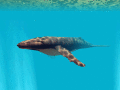 Screenshot of Deep Sea World 3D Screensaver 1.0.2