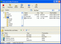 Screenshot of File & Folder Protector 3.594