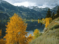 Download this Free Mountain Lake Screensaver!