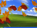 Decorate your desktop with falling leaves.