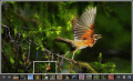 Screenshot of ASP.NET Image Gallery 3.0