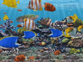 Screenshot of 3D Fish School Screensaver 4.993