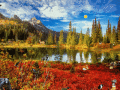 Autumn Fantasy is a jewel of a screensaver.