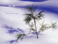 Screenshot of Free Marry Christmas Tree ScreenSaver 1.0