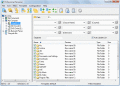 Rename multiple files and folders.