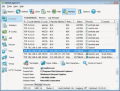 Screenshot of NetStat Agent Portable 3.2