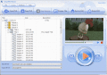 Screenshot of Any DVD Shrink 1.17