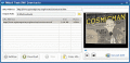 Screenshot of IWisoft Free Flash SWF Downloader 1.8