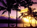Screenshot of Hawaiian Isles Free Screensaver 1.0.1