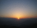 Free screensaver showing beautiful sunrise