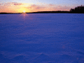 Screenshot of Winter Landscapes Free Screensaver 1.0.1