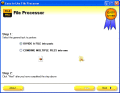 Screenshot of Easy-to-Use File Processor 2010