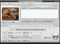 Screenshot of WinX Video Converter Platinum 5.9.3
