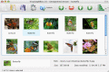 Screenshot of Visual LightBox Mac 4.8