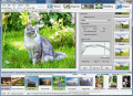 Screenshot of Artensoft Photo Editor 1.4