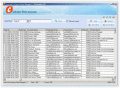 Screenshot of IconCool Customer Data Manager 2.1.91025