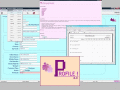 Screenshot of NProfile 6.0