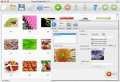 Screenshot of Visual SlideShow Mac 1.5