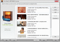 Screenshot of Free Video To Mp3 Wma Converter 2011 3.8.1