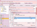 Screenshot of Efficient Lady's Organizer Free 5.50.0.540
