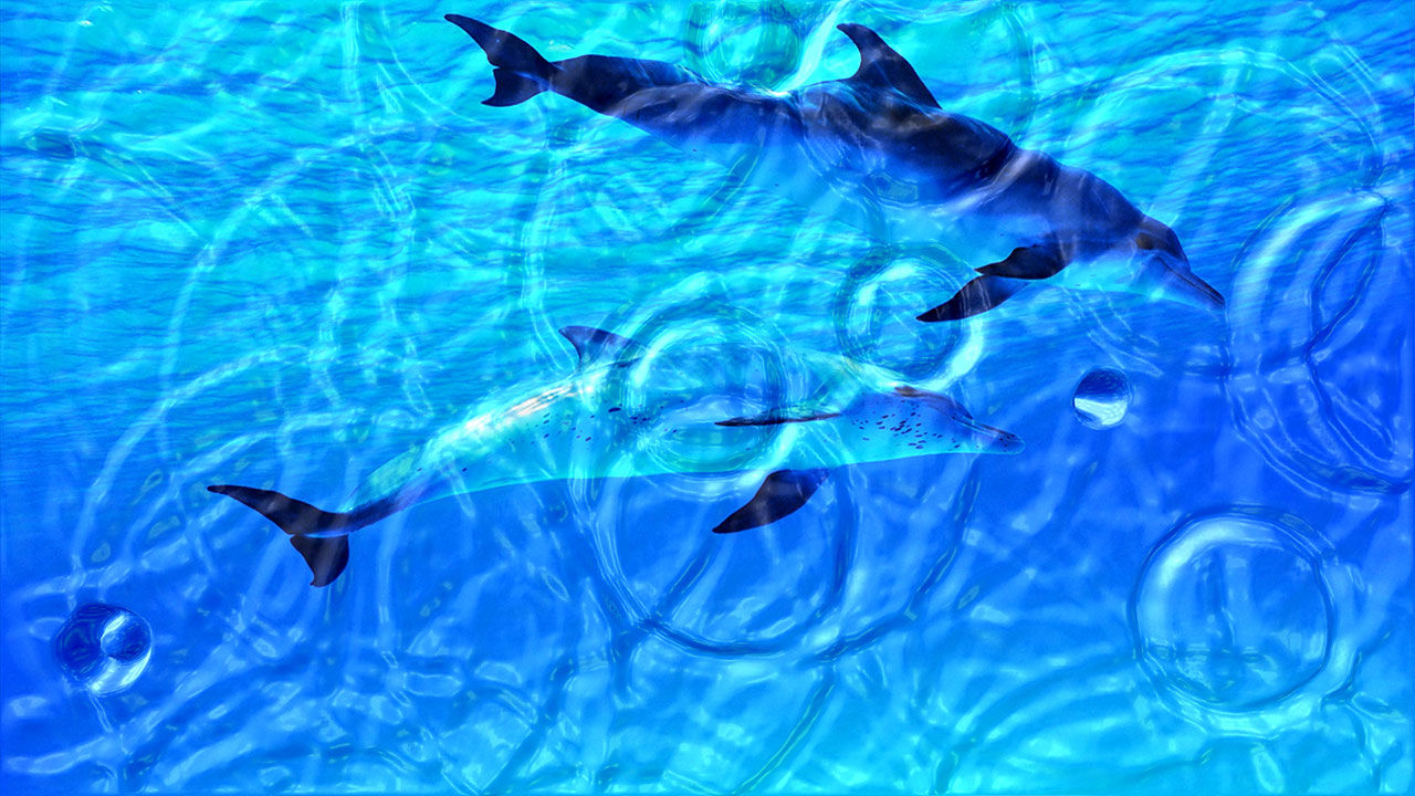 vista 3d wallpaper. Animated Wallpaper: Watery