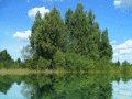 Screenshot of Lake Animated Wallpaper 1.0.0