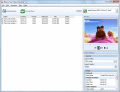 Screenshot of Weeny Video Converter 1.0