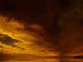 Screenshot of Yellow Storm Animated Wallpaper 1.0.0