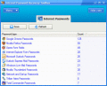 Screenshot of Internet Password Recovery Toolbox 3.0