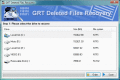 NTFS Undelete tool for NTFS volumes.