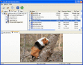 Screenshot of Easy Drive Data Recovery 2.5