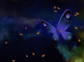 Screenshot of Happy Butterfly Screensaver 1.0