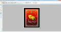 Screenshot of Greeting Cards Print 7.3.0.1