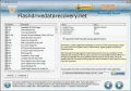 Screenshot of Flash Drive Files Recovery 5.3.1.2