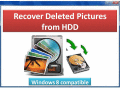 Screenshot of Recover Deleted Pictures from HDD 4.0.0.32