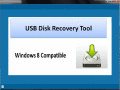 Screenshot of USB Disk Recovery Tool 4.0.0.32