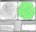 Screenshot of VeriFinger Algorithm Demo for MS Windows 6.5