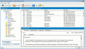 Convert GroupWise to Outlook