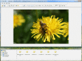 Screenshot of PhotoTitle 3.1