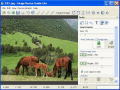 Screenshot of Image Resize Guide Lite 1.4.1